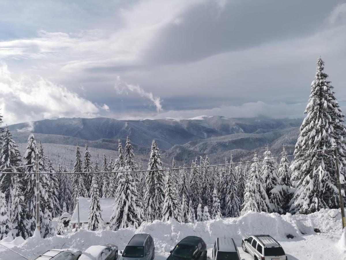 Pensiunea Alpin Ranca Esterno foto
