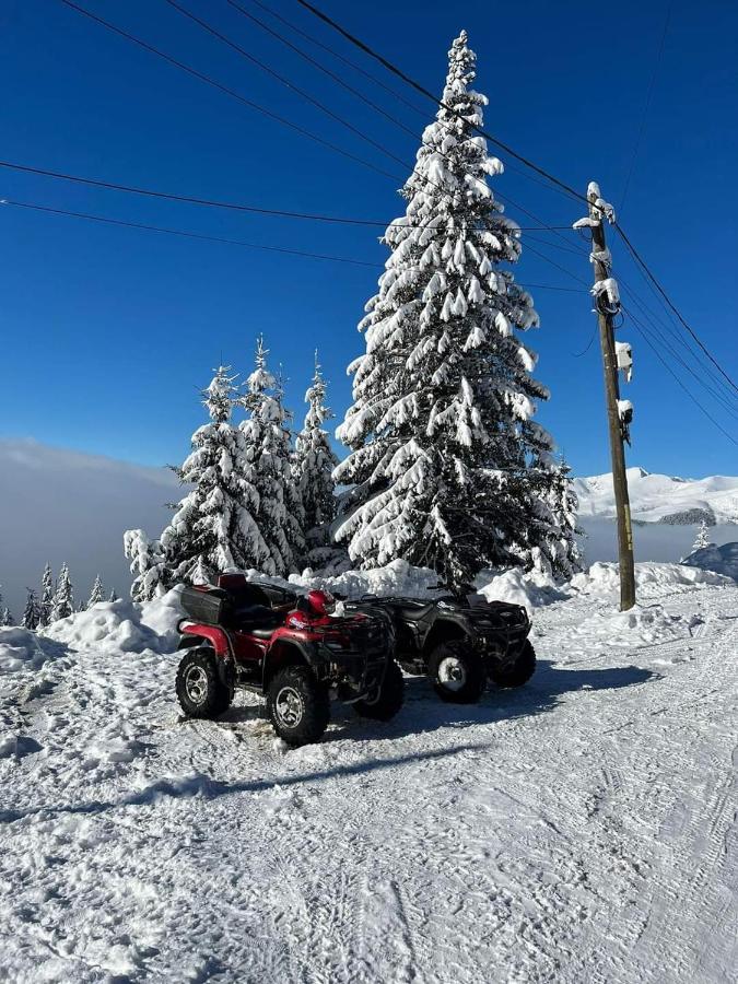 Pensiunea Alpin Ranca Esterno foto