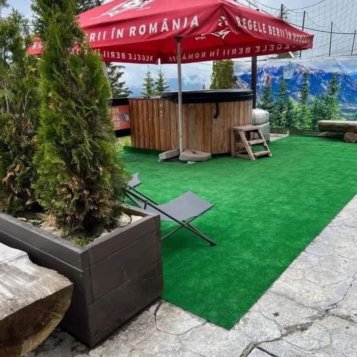 Pensiunea Alpin Ranca Esterno foto
